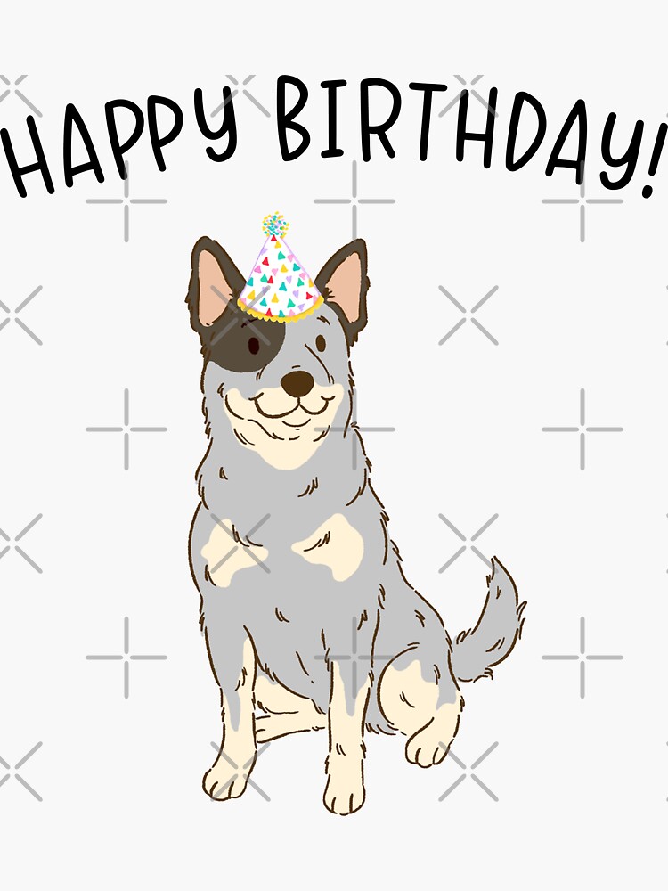 Happy birthday hot sale blue heeler