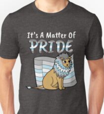 Demiboy Pride Lion - Avec texte T-shirt unisexe