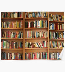 Bookshelf Books Library Bookworm Reading Poster