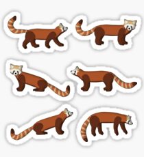 roter Panda Sticker