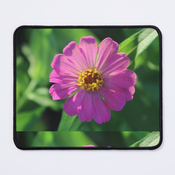 Item preview, Garden Flower - Floral Pattern Photograph designed and sold by Tatzki-Design.