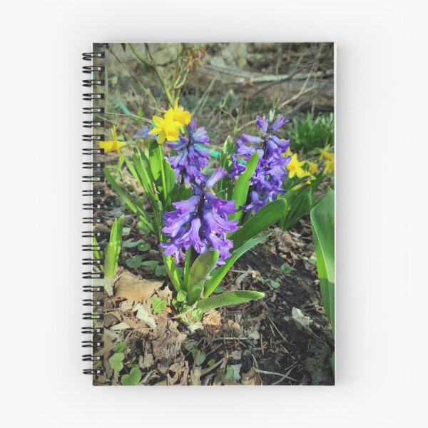 Item preview, spring flowers designed and sold by Gourmetkater.