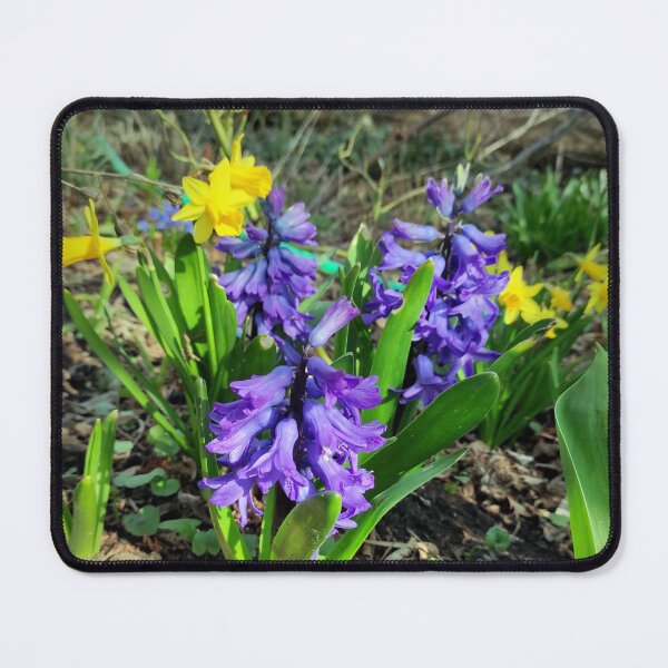 Item preview, spring flowers designed and sold by Gourmetkater.