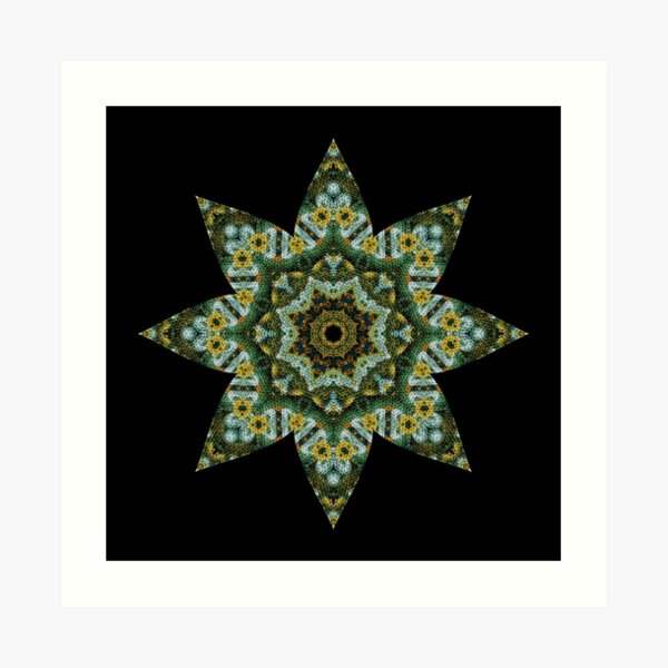 Quilted Star Art Print