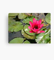 Rise and Shine Canvas Print