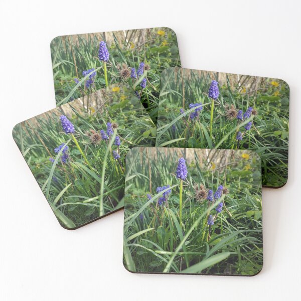 Item preview, Delicate spring flowers designed and sold by Gourmetkater.