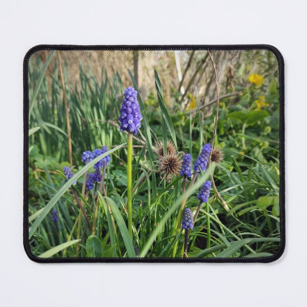 Item preview, Delicate spring flowers designed and sold by Gourmetkater.