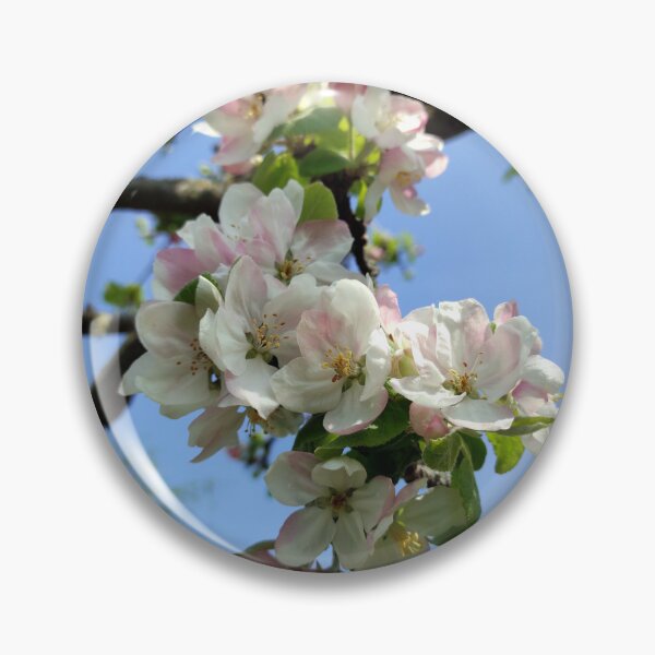 Item preview, Apple blossoms on an old tree designed and sold by Gourmetkater.