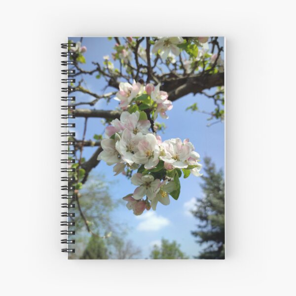 Item preview, Apple blossoms on an old tree designed and sold by Gourmetkater.