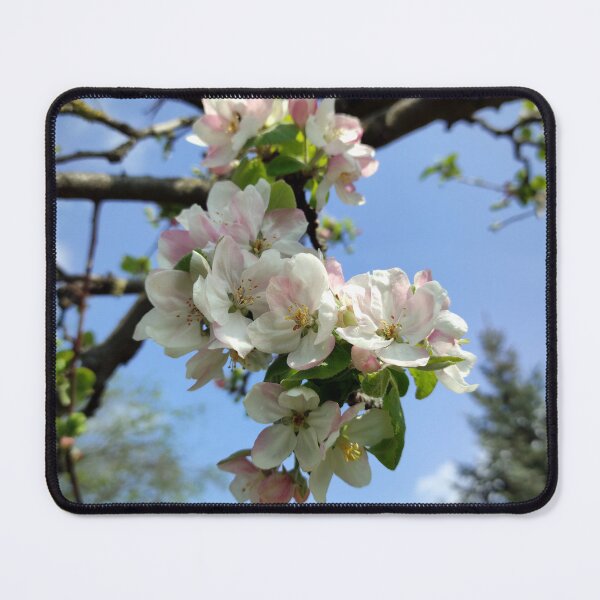 Item preview, Apple blossoms on an old tree designed and sold by Gourmetkater.
