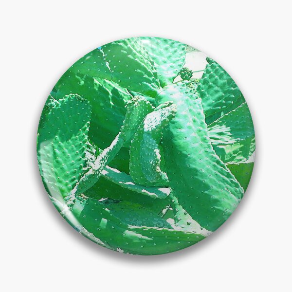 Item preview, suculenta verde designed and sold by anata77.