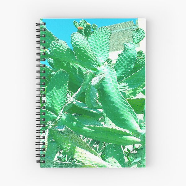 Item preview, suculenta verde designed and sold by anata77.