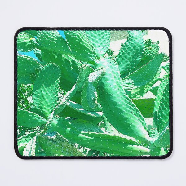 Item preview, suculenta verde designed and sold by anata77.