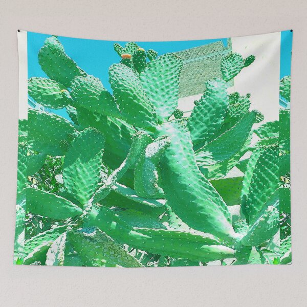 Item preview, suculenta verde designed and sold by anata77.