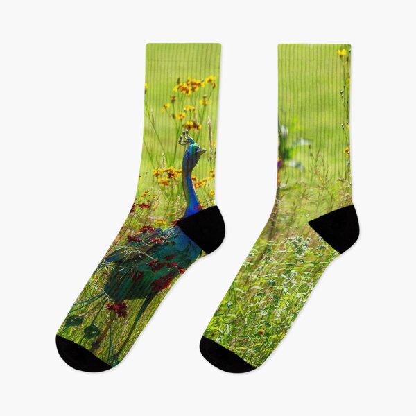 Artikelvorschau, Pfau im Garten entworfen und verkauft von Kathy Weaver.