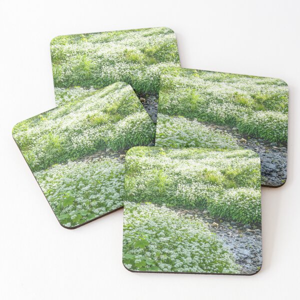 Item preview, Wild Garlic Alium Ursinum Cardiff  designed and sold by Cameranick.