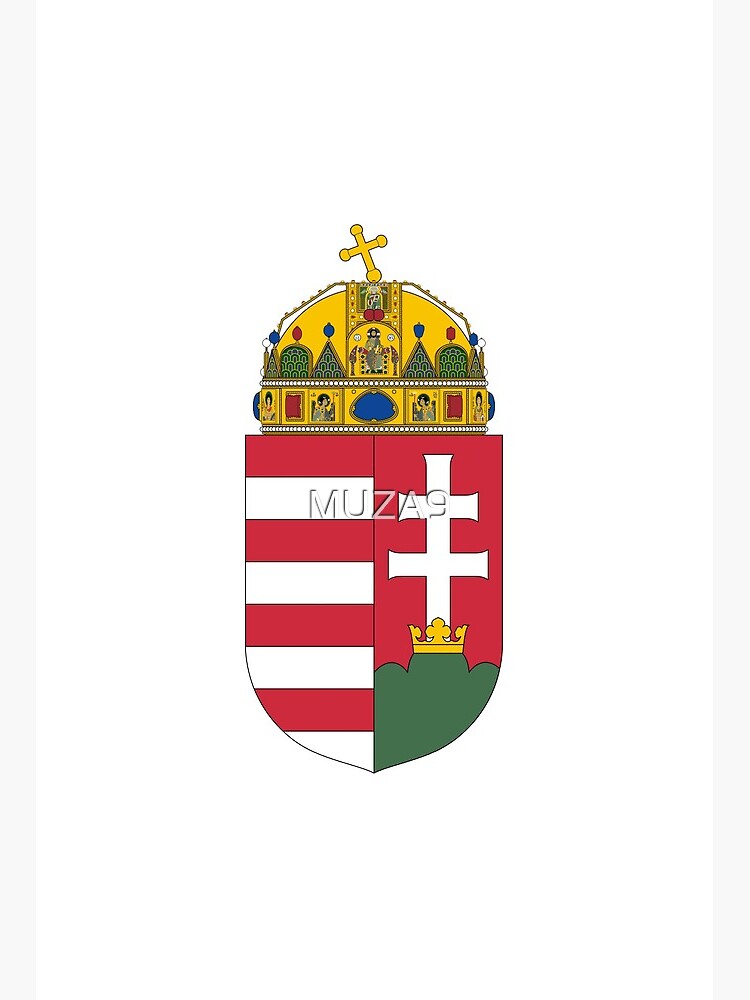 coat of arms of the football club Hermannstadt