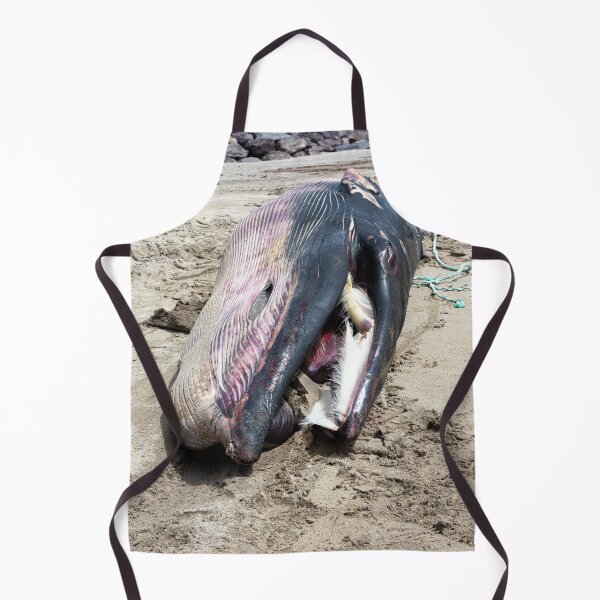 Item preview, Dead Minke Whale designed and sold by StephenPower.