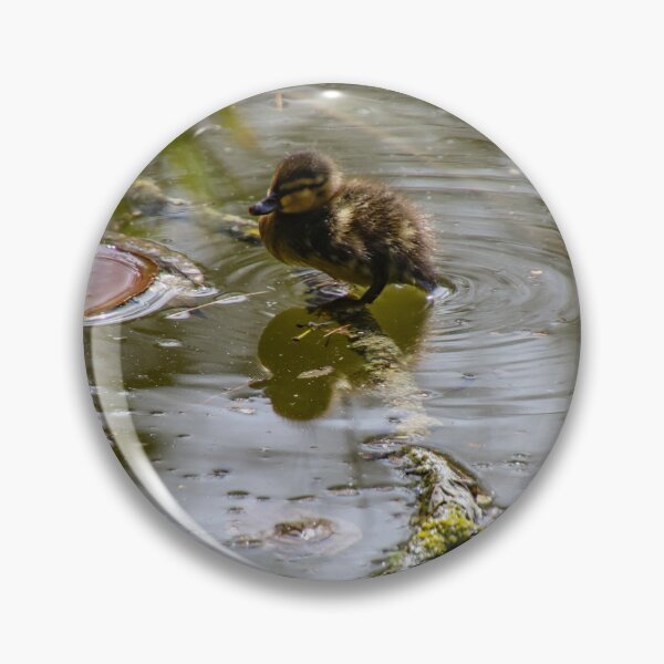 Item preview, duckling - stand alone designed and sold by Perggals© - Stacey Turner.