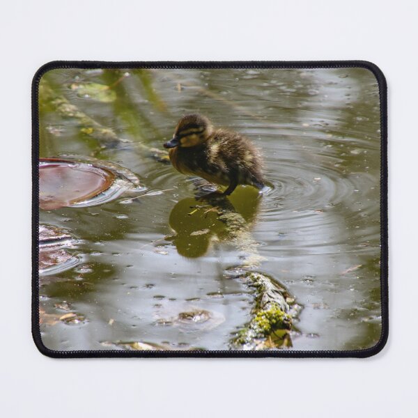 Item preview, duckling - stand alone designed and sold by Perggals© - Stacey Turner.