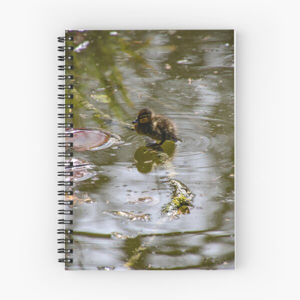 Item preview, duckling - stand alone designed and sold by Perggals© - Stacey Turner.