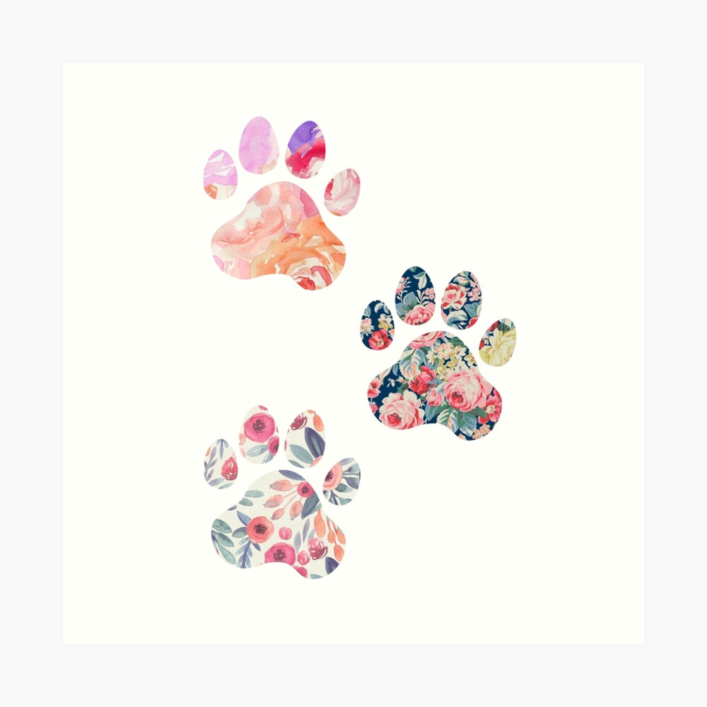 Floral Paw Print Trio Art Print