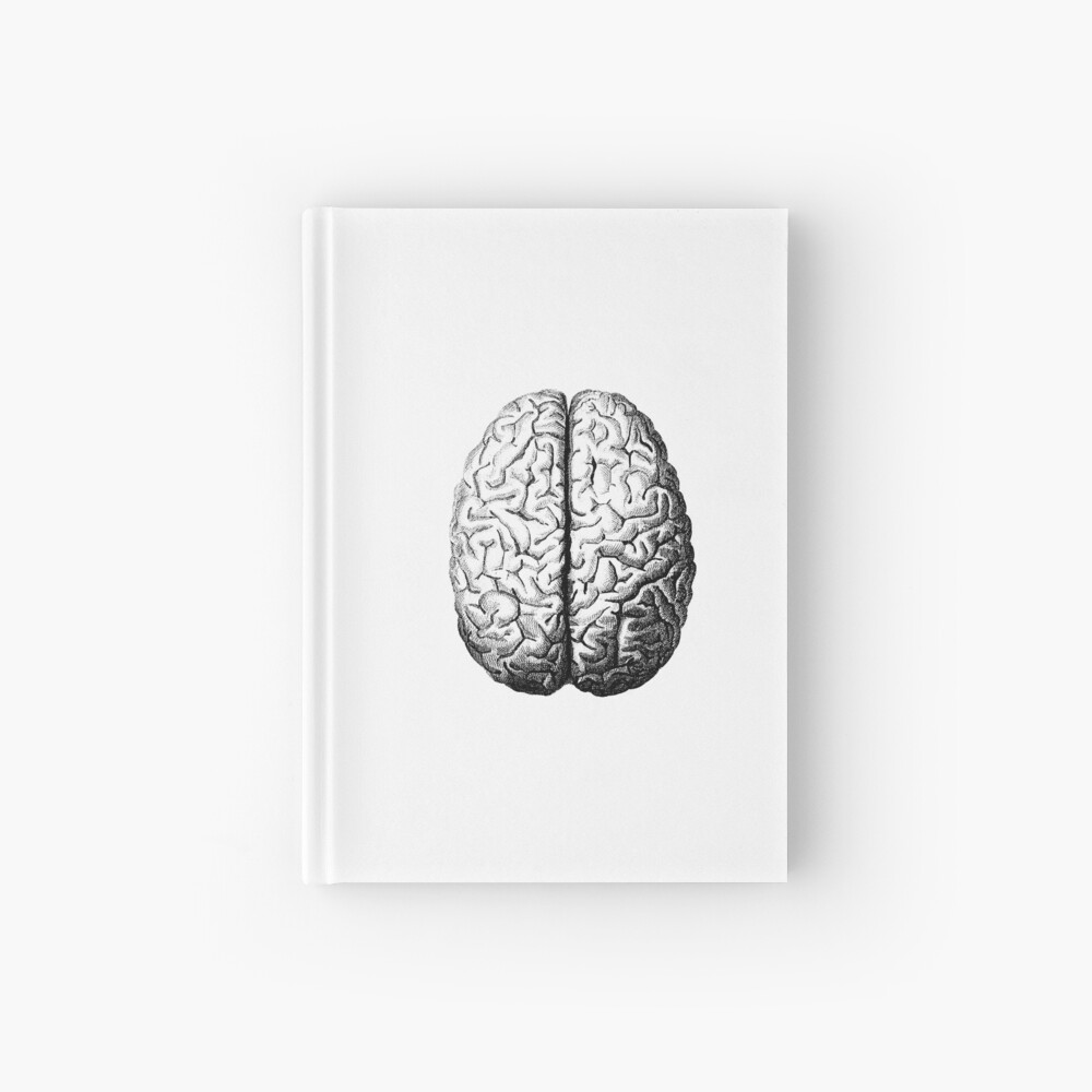 Anatomically Correct Brain Hardcover Journal