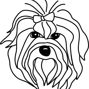 Vorschaubild zum Design havaneser, havanese von dog-shirt