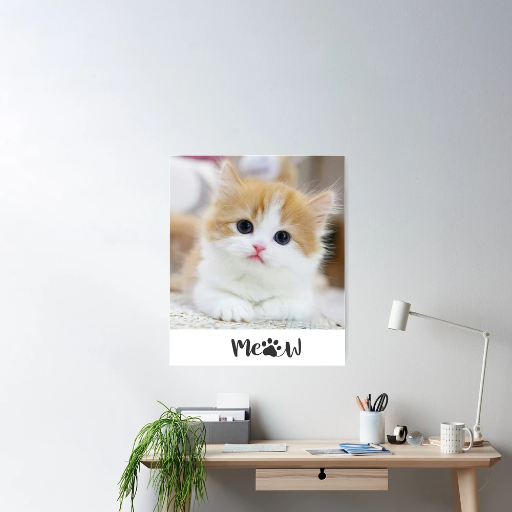 Redbubble Poster Sale meaw...meaw\