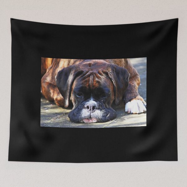 Item preview, Such is Life -Boxer Dogs Series- designed and sold by Evita.