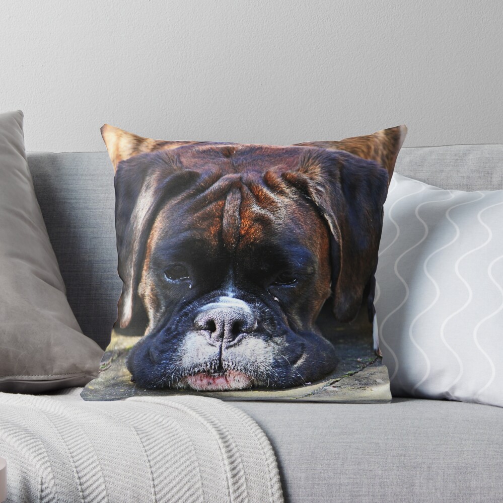 boxer throw pillow