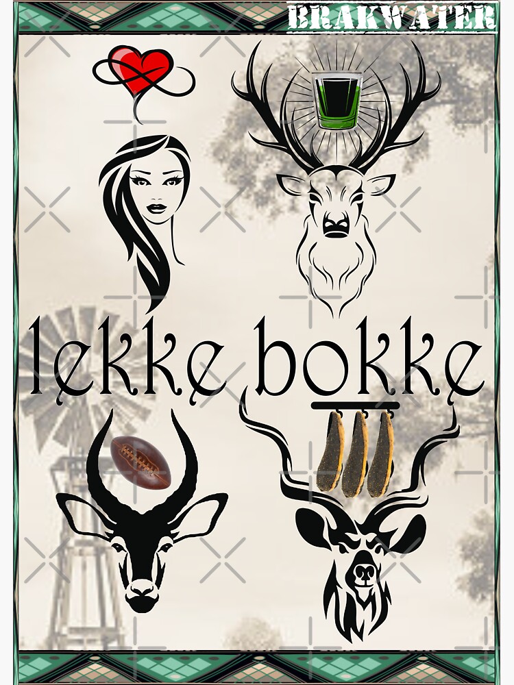 What Does Bokke Mean In Afrikaans