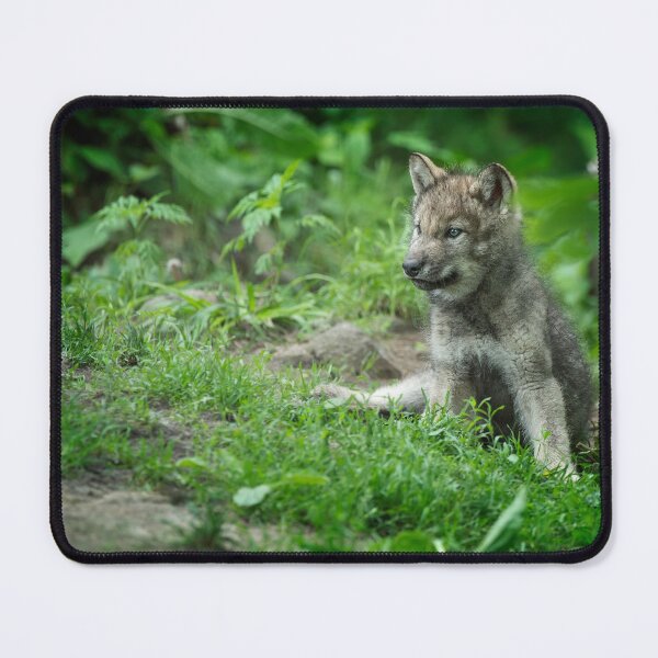 Item preview, Timber Wolf Pup designed and sold by WolvesOnly.