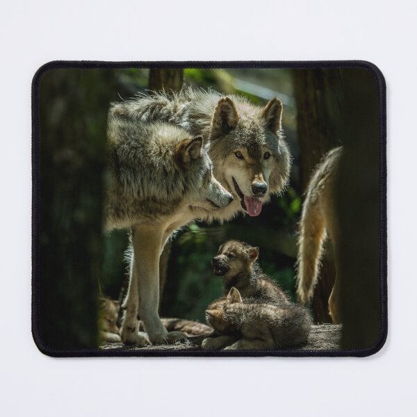 Item preview, Timber Wolf Family designed and sold by WolvesOnly.