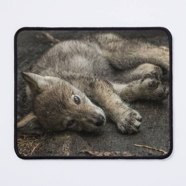 Item preview, Timber Wolf Pup designed and sold by WolvesOnly.