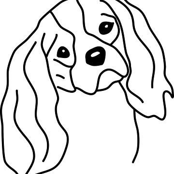 Vorschaubild zum Design cavalier king charles spaniel von dog-shirt