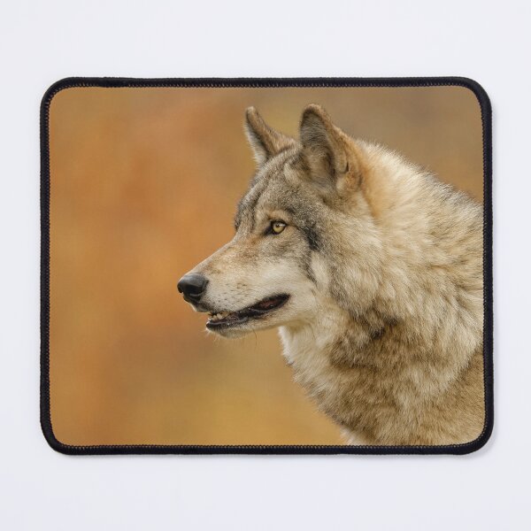 Item preview, Timber Wolf designed and sold by WolvesOnly.