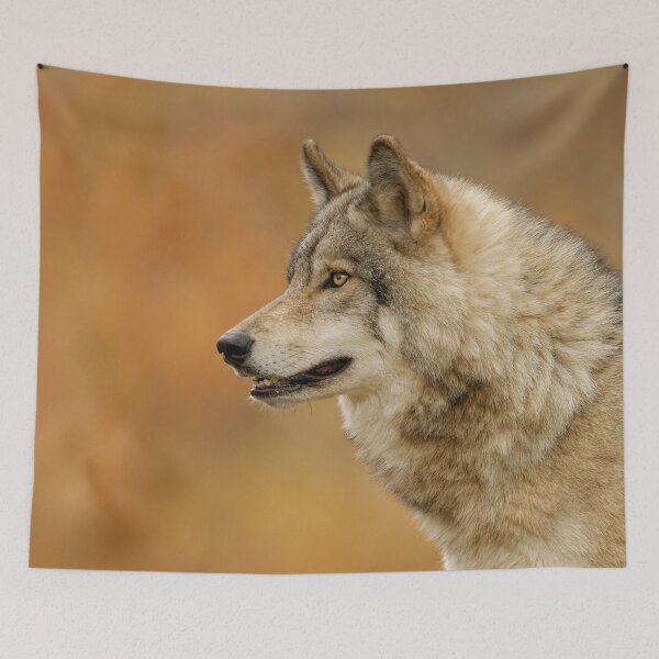 Item preview, Timber Wolf designed and sold by WolvesOnly.