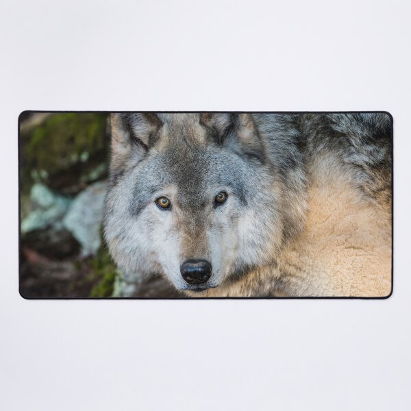 Artikelvorschau, Timber Wolf entworfen und verkauft von WolvesOnly.