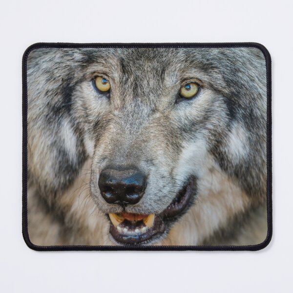 Item preview, Timber Wolf designed and sold by WolvesOnly.