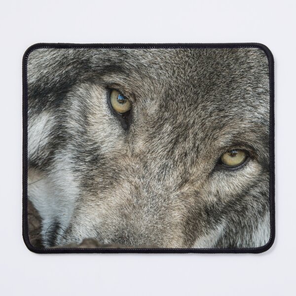 Item preview, Timber Wolf designed and sold by WolvesOnly.
