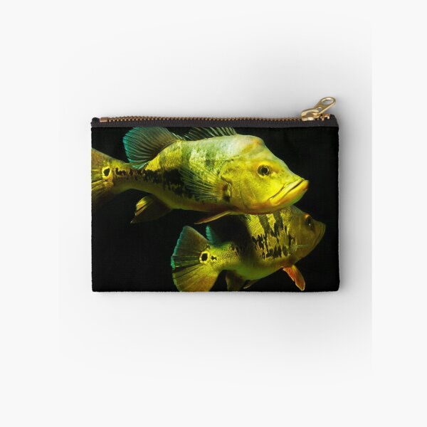 Item preview, Peacock Bass - Cichla monoculus designed and sold by bidkev1.