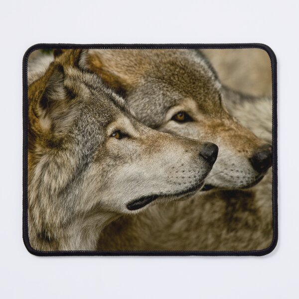 Item preview, Timber Wolves designed and sold by WolvesOnly.