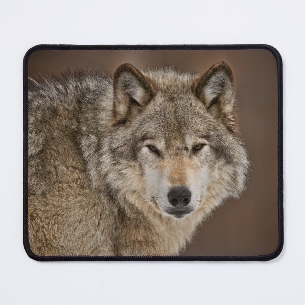 Item preview, Timber Wolf designed and sold by WolvesOnly.