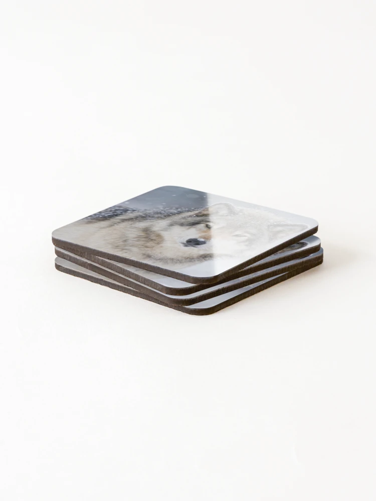 Thumbnail 4 of 5, Coasters (Set of 4), Timber Wolf In Snowfall designed and sold by WolvesOnly.