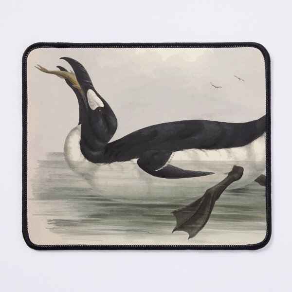 Item preview, John Gould The Birds of Europe 1837 V1 V5 400 Great Auk designed and sold by wetdryvac.