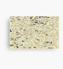 Cartoon Guide to Vertebrate Evolution Canvas Print