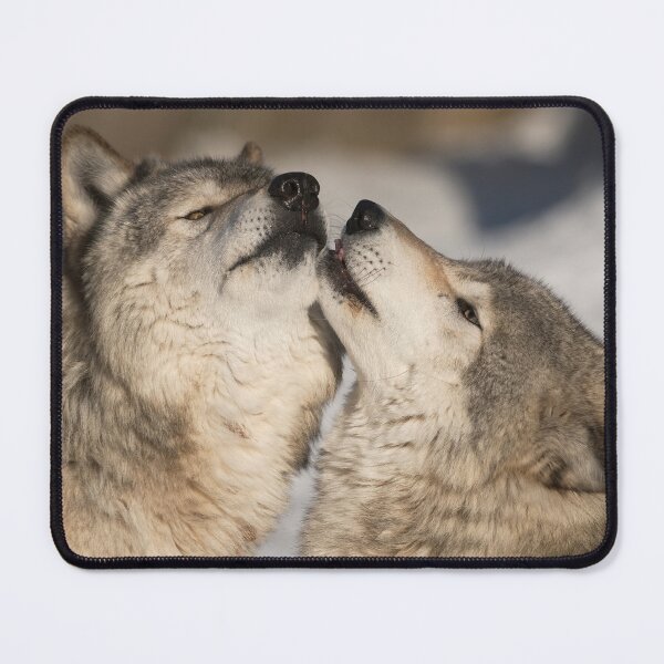 Item preview, Timber Wolves designed and sold by WolvesOnly.