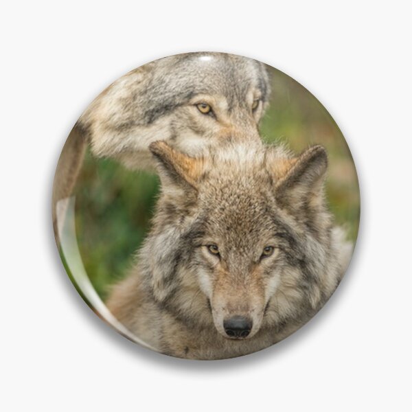 Item preview, Timber Wolves designed and sold by WolvesOnly.