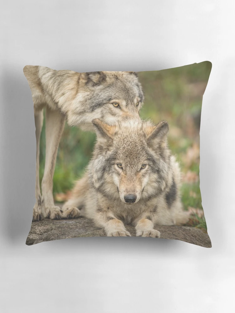 Thumbnail 3 of 4, Pillow, Timber Wolves designed and sold by WolvesOnly.